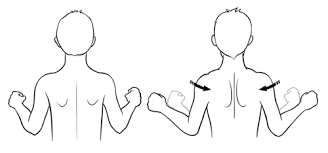 Shoulder Blade Squeeze